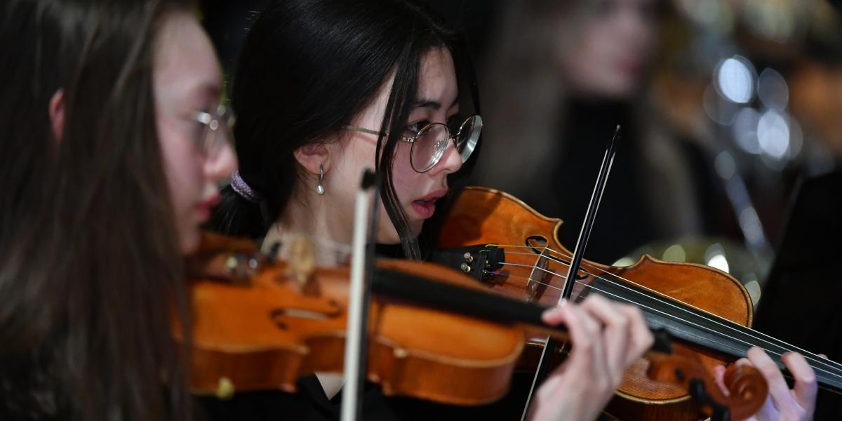 Violin players in concert