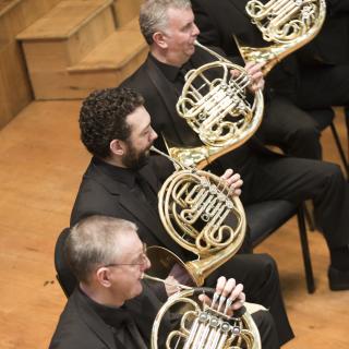 Musicians playing French horn