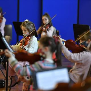 Beginner string players taking part in Benedetti sessions in Antrim