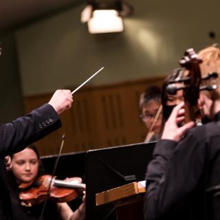 Chamber orchestra in concert