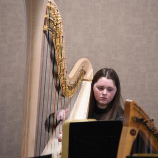South Ulster Harp Ensemble