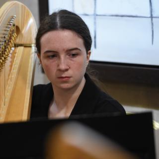 South Ulster Harp Ensemble