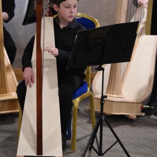 Harpist performing in concert