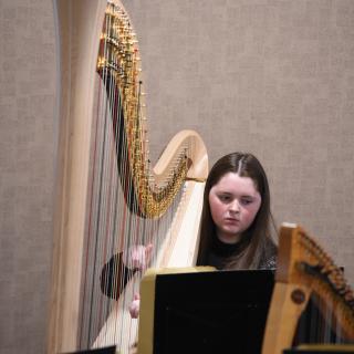 Harpist performing in concert