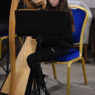 Harpist performing in concert