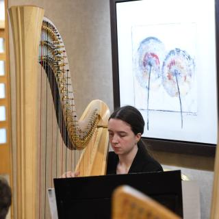 Harpist performing in concert