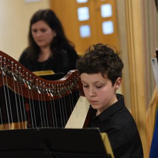 Harpist performing in concert