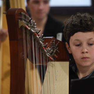 Harpist performing in concert