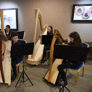 South Ulster Harp ensemble in concert