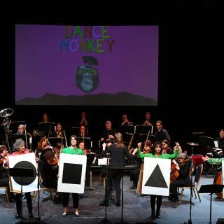 Musical Pathways and Instrumental tutors delivering Springfest roadshow