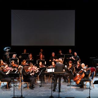 Western region staff orchestra Springfest performance in Millennium Forum