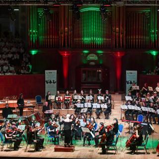 Youth orchestra in concert