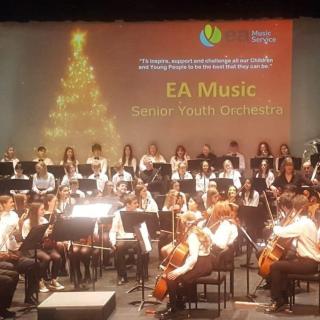 Young musicians performing in youth orchestra concert