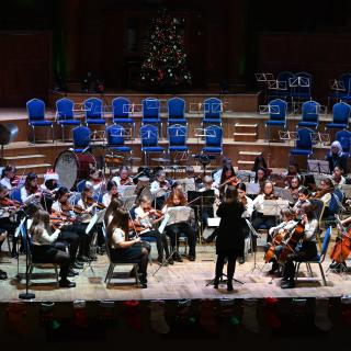 The North Down/Castlereagh string orchestra performing at the Ulster Hall.