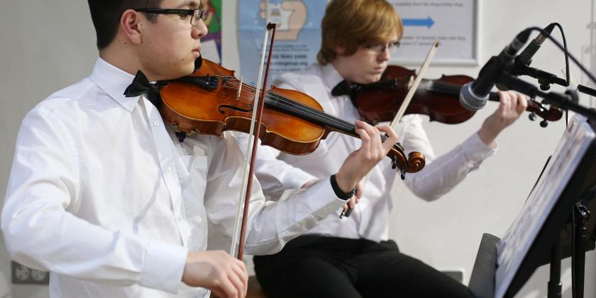 Violin