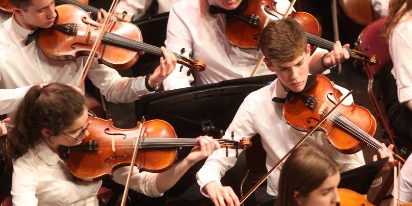 Viola section