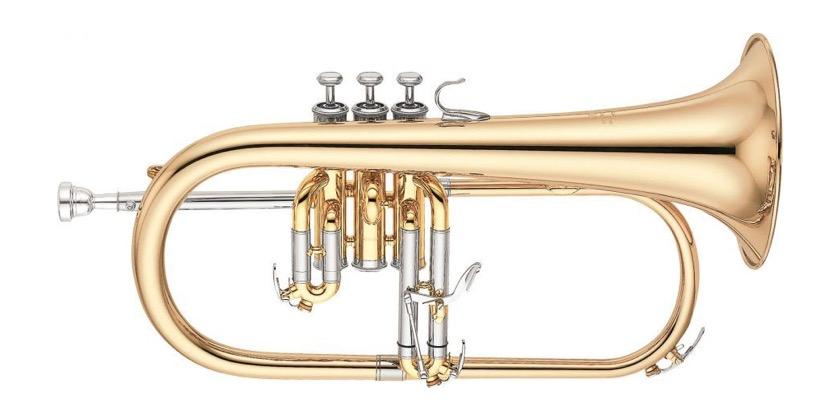 Flugel horn