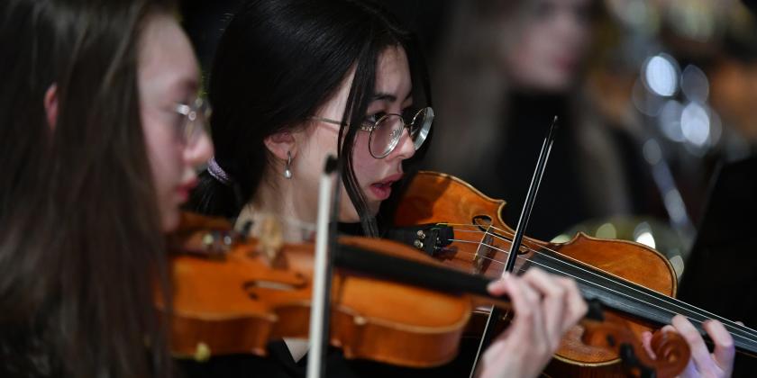 Violin players in concert